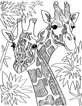 Two Giraffe Head Looking At Both Sides With Tall Trees Colorless Line Drawing Stock Illustration