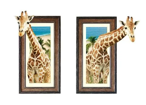 Two giraffes in wooden frames with 3d effect Stock-Fotos