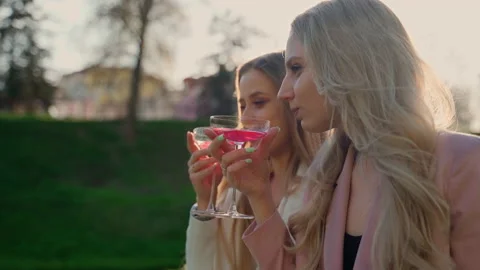 Two girlfriends drinking red champagne in park outdoors Stock Footage 194296449