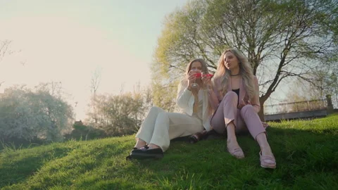 Two girlfriends drinking red champagne in park outdoors Stock Footage 194296935