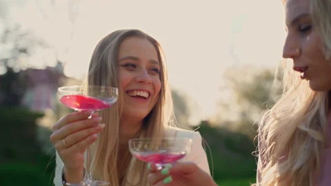 Two girlfriends drinking red champagne in park outdoors Stock Footage 194298885