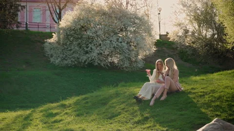 Two girlfriends drinking red champagne in park outdoors Stock Footage 194306595