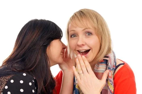 Two girlfriends Stock Photos