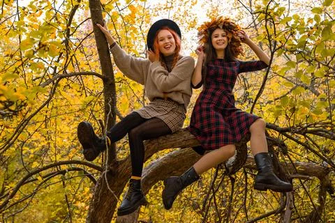 Two girlfriends Stock Photos