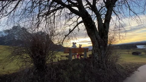 Two girlfriends sitting on the bench among nature Stock Footage 232676154