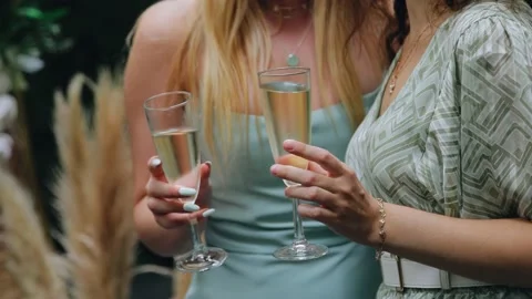 Two girls are standing at a buffet table and holding glasses of champagne Stock Footage 171734064