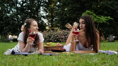 Two girls are talking, clinking glasses of cocktail, laying on the plaid in park Stock Footage 148119182