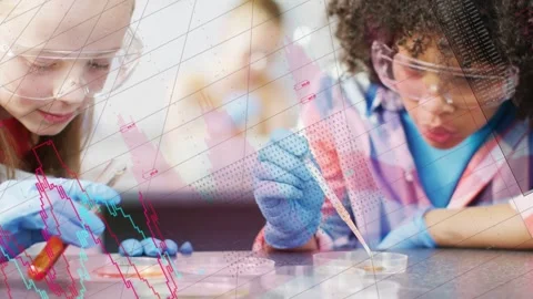 Two girls doing experiment by pipetting orange liquid into dishes, growing data Stock Footage 334372906