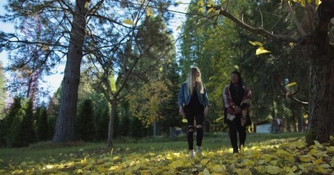 Two Girls Falling Leaves Stock Footage 70676844