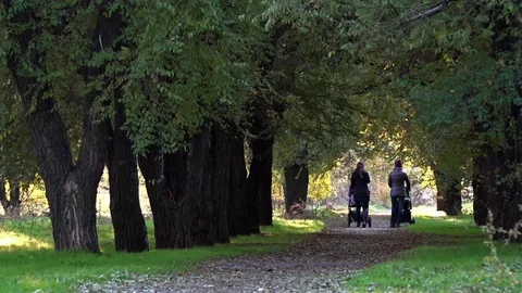 Two girls in the park. Stock Footage 82035461