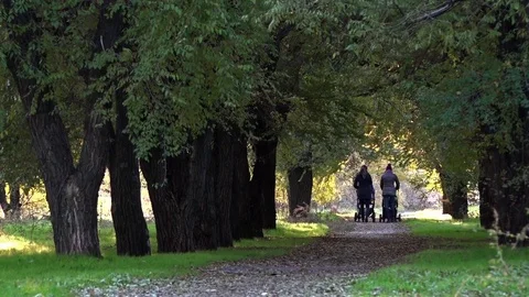 Two girls in the park. Stock Footage 82035467