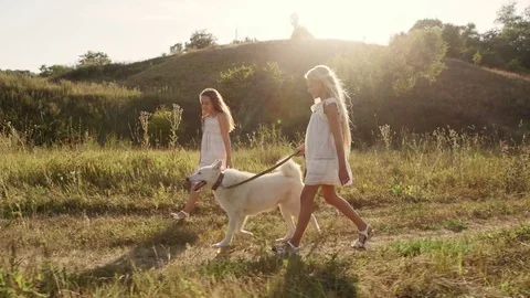 Two girls playing with a dog at sunset Stock Footage 80346761
