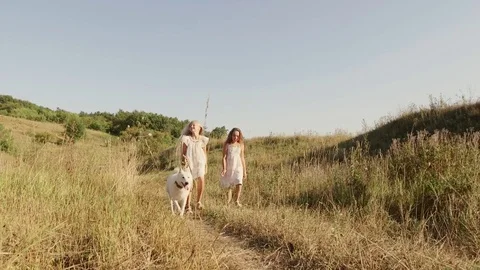 Two girls playing with a dog at sunset Stock Footage 80347096