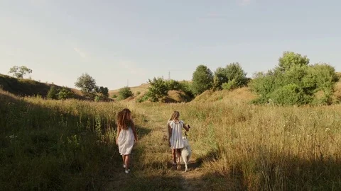 Two girls playing with a dog at sunset 動画素材 80347605
