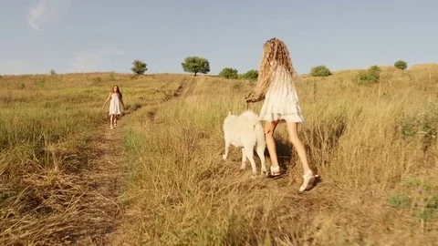Two girls playing with a dog at sunset Stock Footage 80348835