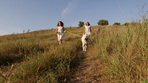 Two girls playing with a dog at sunset Video stock 80348967