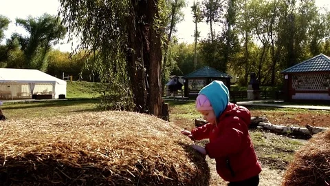 Two girls playing outside on a haystack Stock-Footage 70824572