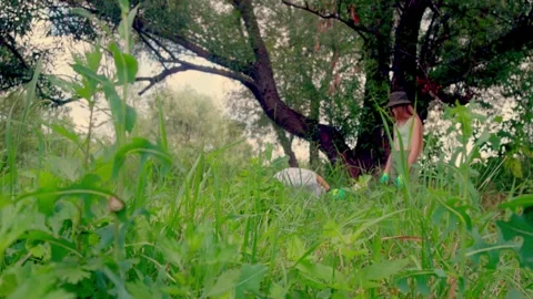 Two girls putting plastic waste into black garbage bag under tree Stock Footage 340463934
