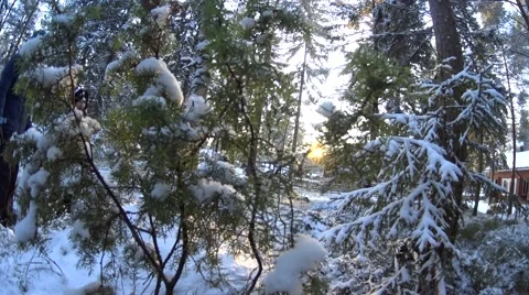 Two Girls Run From The Winter Forest To The Wooden House, long shoot on 4k Stock Footage 63205464