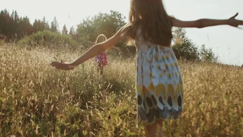 Two girls runing towards each other on a summer meadow Stock Footage 221237298