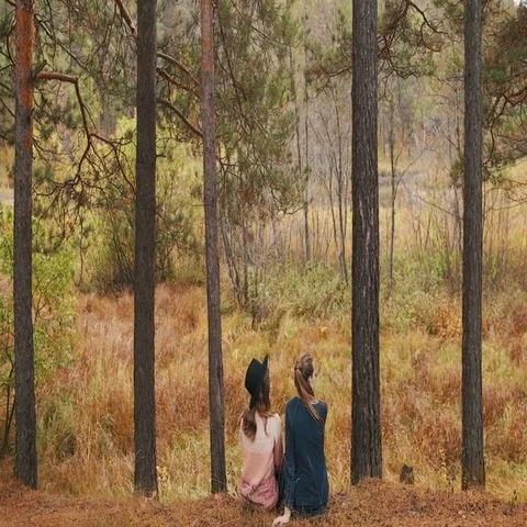 Two girls sit on the ground and talk Stock Footage 69550525