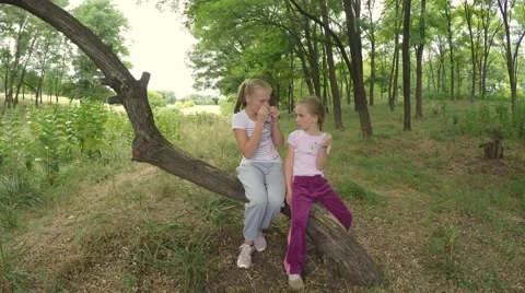 Two girls sit on a sloping tree and laugh. 库存影片 53307102