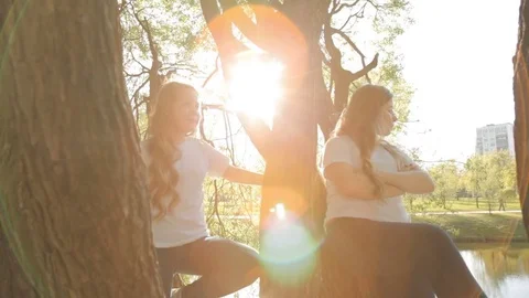 Two girls sitting in a tree on a warm summer evening Video stock 71790295