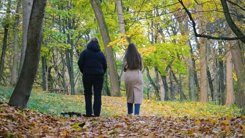 Two girls walk through fallen autumn maple leaves along a park road. Video stock 321402299