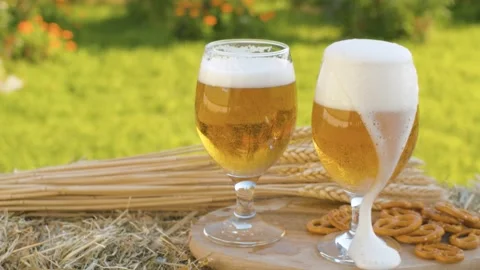 Two glasses of beer in the garden Stock Footage 141600660