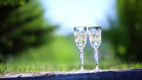 Two glasses of champagne on the grass Stock Footage 84357634