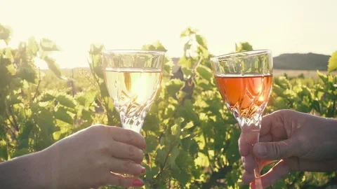 Two glasses clink glasses against the vineyard background Stock Footage 90709668