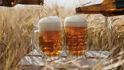 Two glasses of cold beer stands on a wooden box in the field Stock Footage 92251583