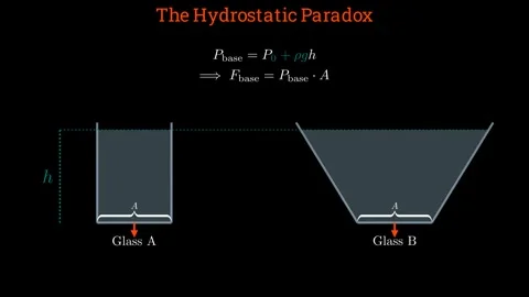 Two glasses with equal base areas but different shapes Vídeo Stock 335764554
