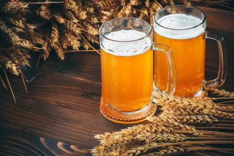 Two glasses of light beer with spikelets of barley on the wooden background.  Stock Photos