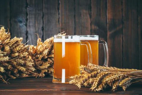 Two glasses of light beer with spikelets of barley on the wooden background.  Stock Photos