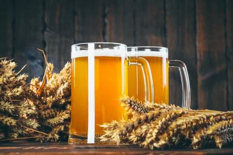 Two glasses of light beer with spikelets of barley on the wooden background.  Stock Photos
