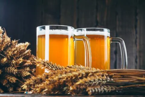 Two glasses of light beer with spikelets of barley on the wooden background.  Stock Photos