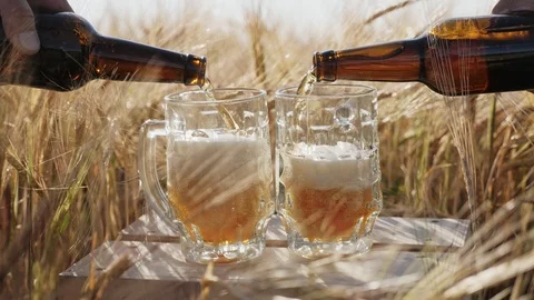 In two glasses pour cold beer from bottles Stock Footage 91977652