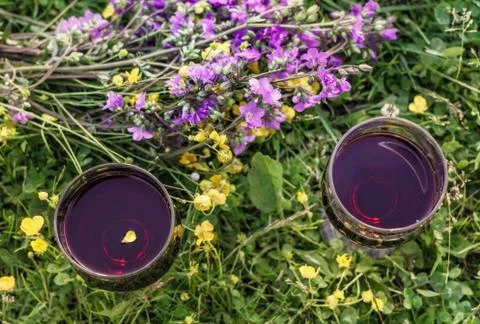Two glasses of red wine in meadow flowers Stock Photos