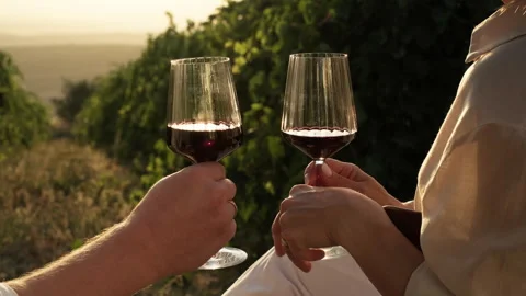 Two glasses of red wine in vineyards. Couple in love dating outdoors in nature Stock Footage 288861100