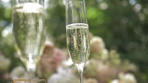 Two glasses with sparkling champaign with bubbles stand on the green background Stock Footage 113803872