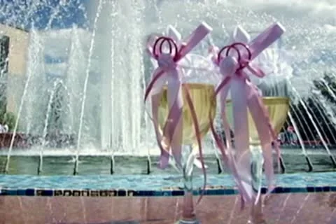 Two glasses of wine 스톡 동영상 10610047