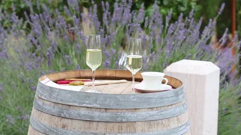 Two glasses of wine 動画素材 72115281