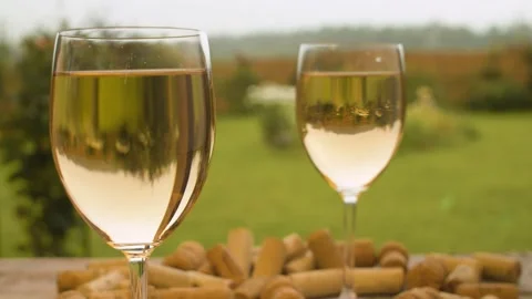 Two glasses of wine in the garden Stock Footage 137059419