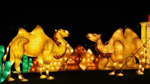 Two Glowing Bactrian Camel Lanterns at a Night Light Festival Foto stock