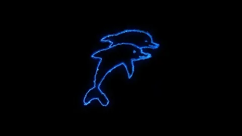 Two glowing blue neon dolphins jumping on black background Stock Footage 345475492