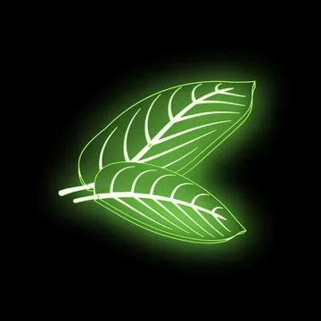 Two glowing green leaves creating a vibrant neon effect on dark background Stock Illustration