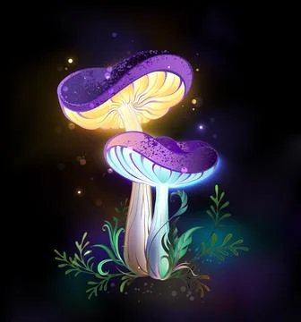 Two glowing mushrooms Stock Illustration
