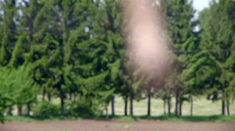 Two gold wedding ring hanging on a wire Video stock 33300742