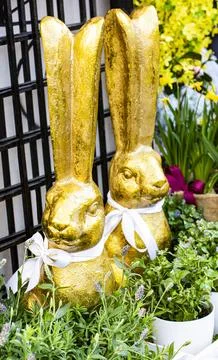 Two Golden Easter Bunnies Stock Photos